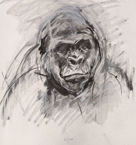 Gorilla (Head 62/100)
